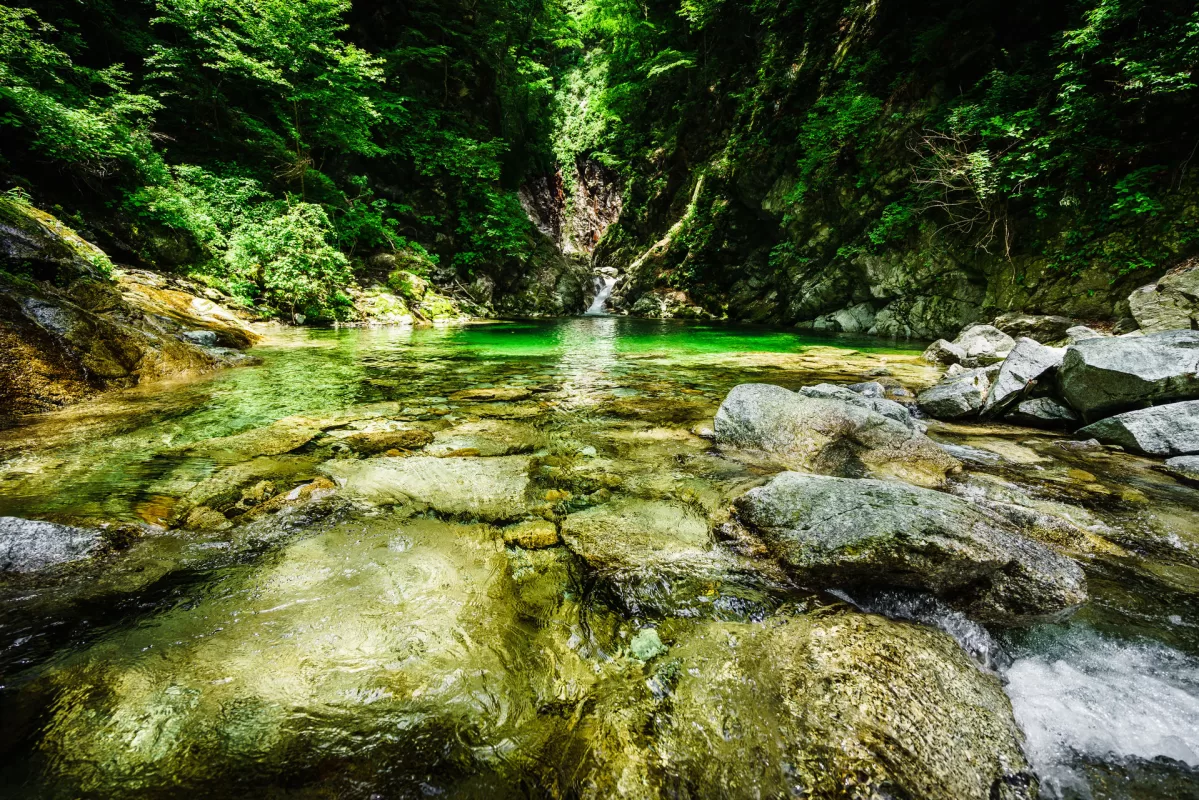 白州 威士忌 尾白川
